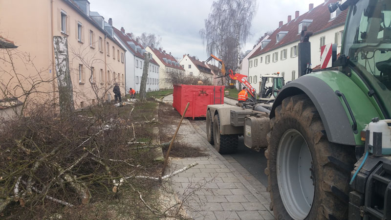 Baumfällung & Heckenpflege