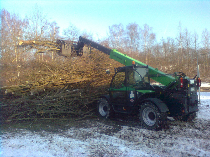 Baumfällung & Heckenpflege