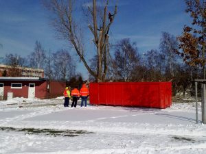 Baumfällung & Heckenpflege