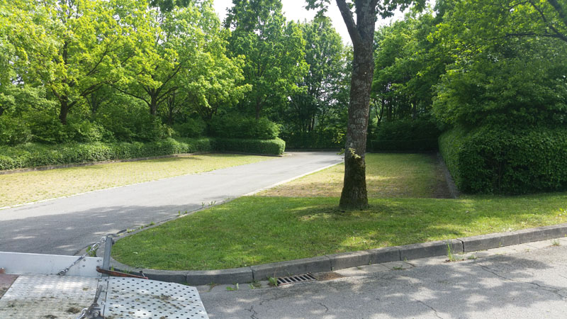 Baumfällung & Heckenpflege