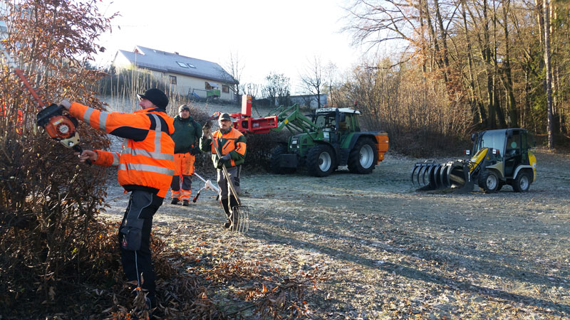 Baumfällung & Heckenpflege