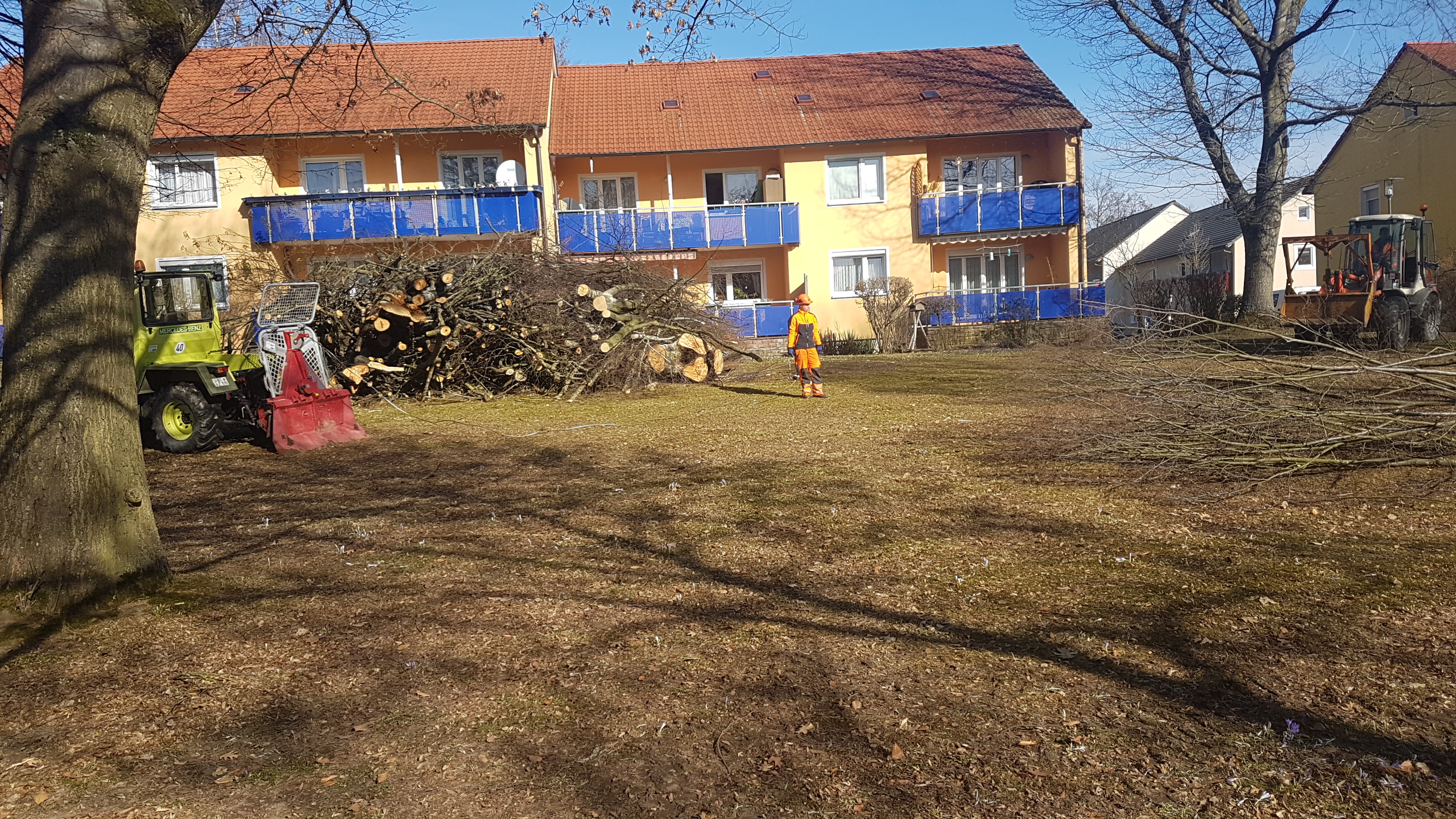 Baumfällung & Heckenpflege