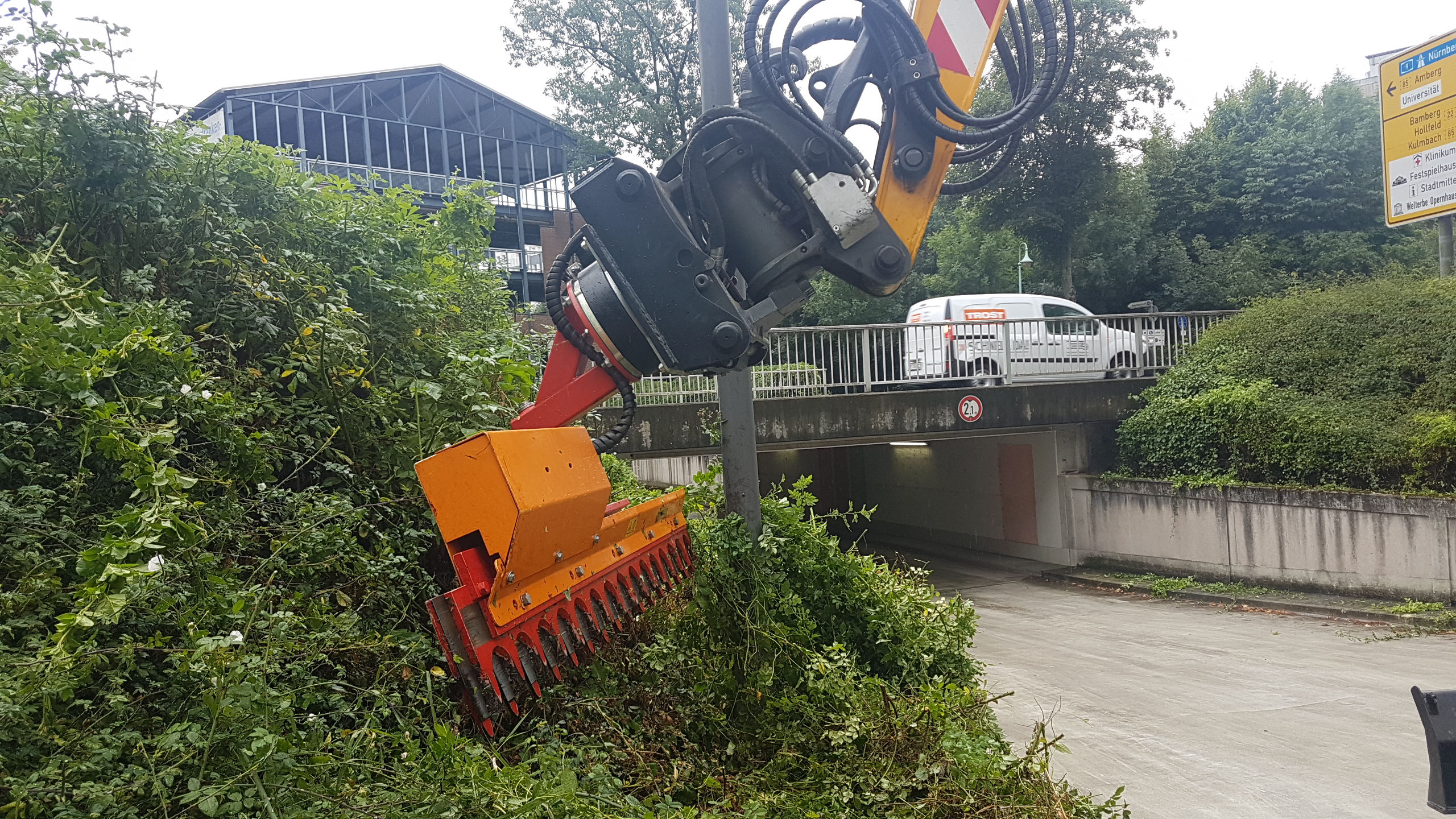 Baumfällung & Heckenpflege