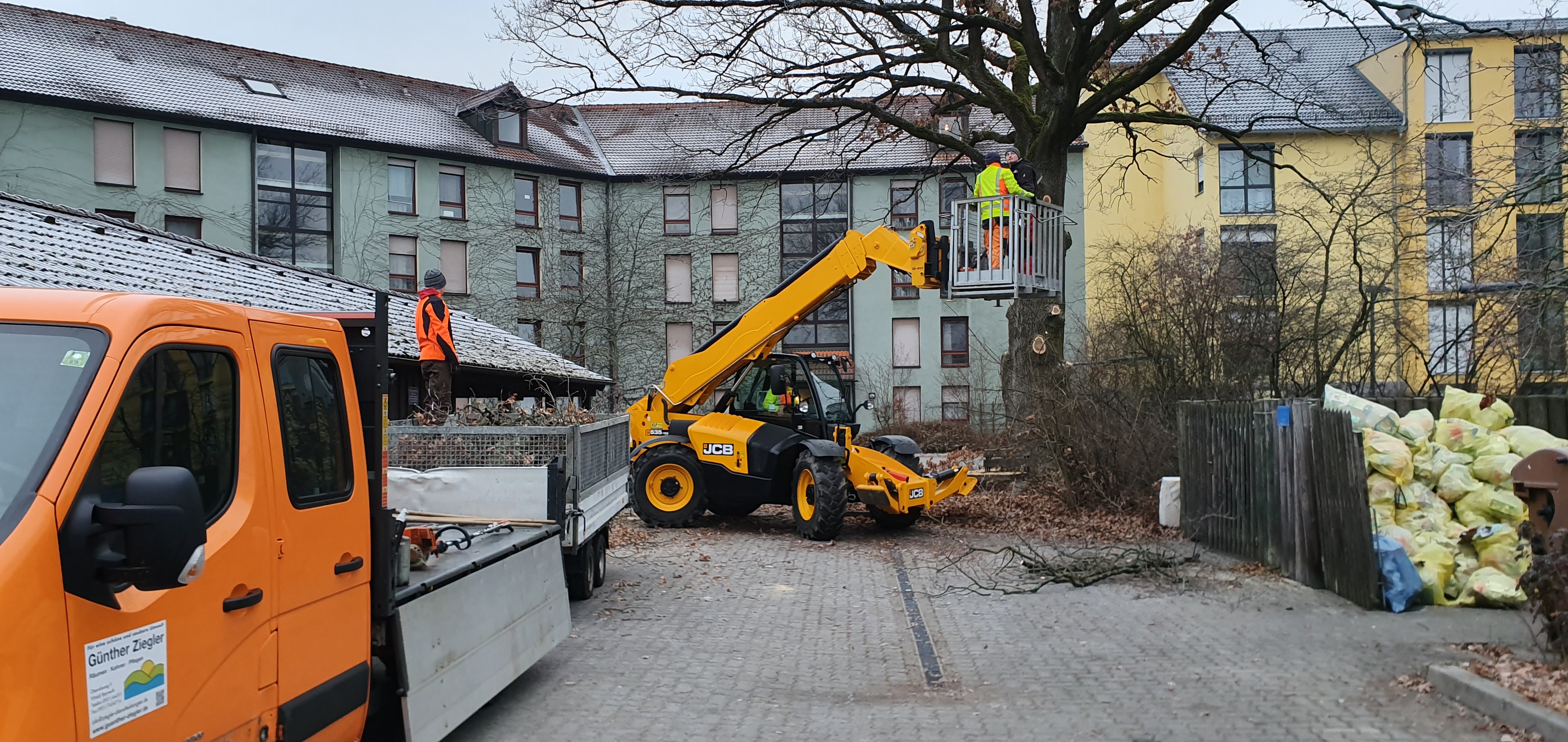 Baumfällung & Heckenpflege