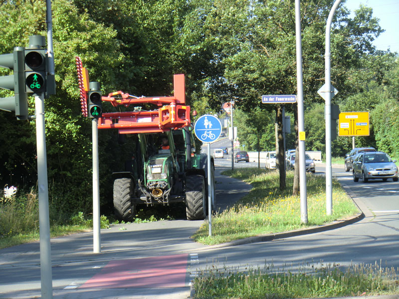 Baumfällung & Heckenpflege