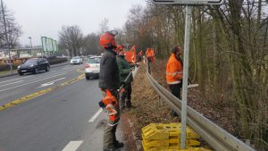 Baumfällung & Heckenpflege