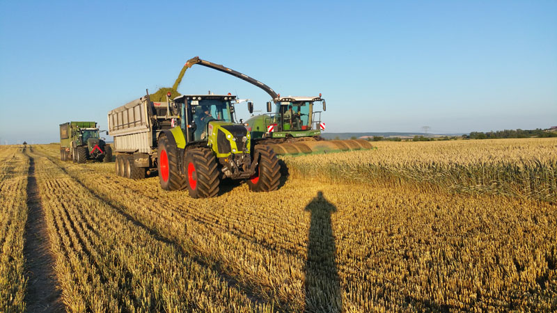 Landwirtschaftliche Dienstleistugen