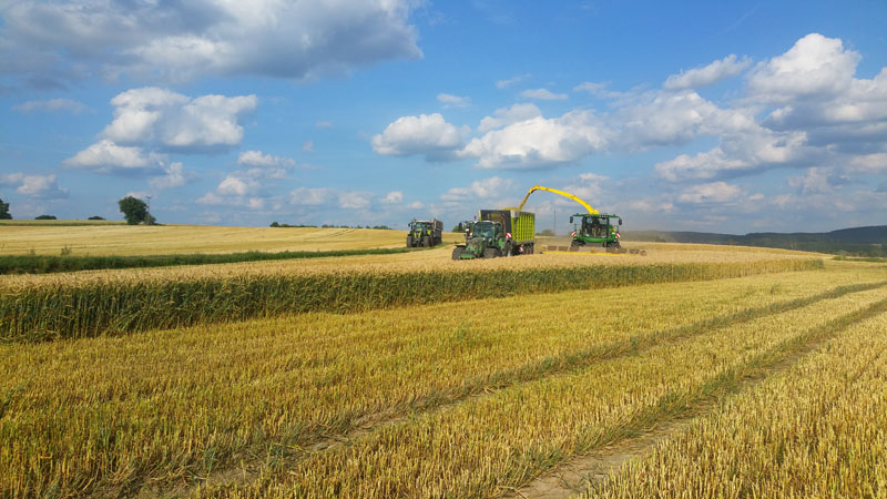 Landwirtschaftliche Dienstleistugen
