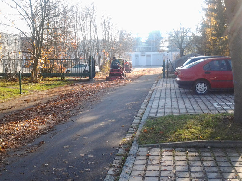 Laubentsorgung