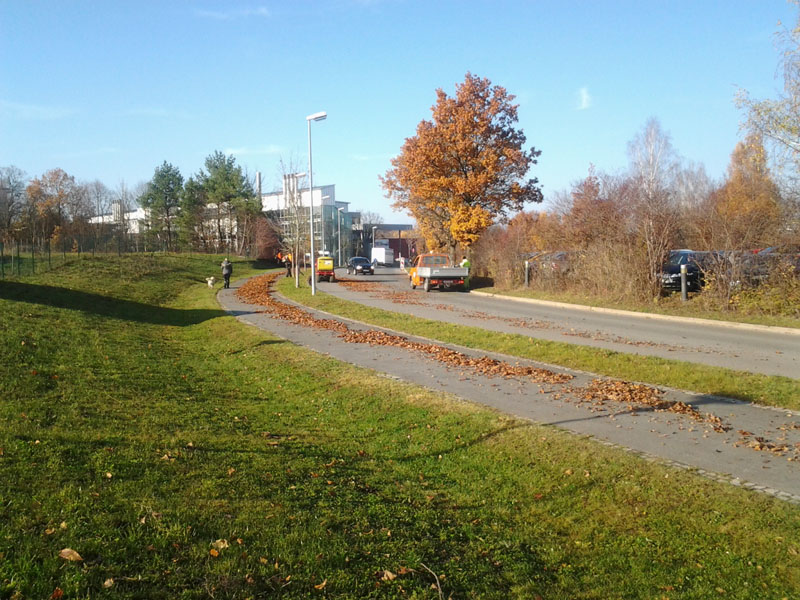 Laubentsorgung