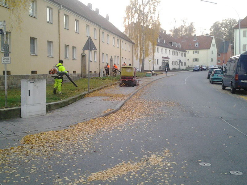 Laubentsorgung