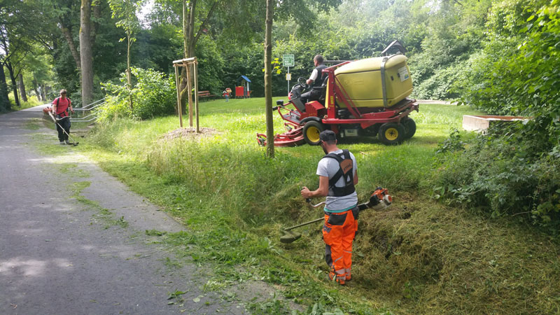 Mäharbeiten