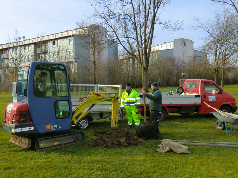Landschaftsgärtnerische Tätigkeiten