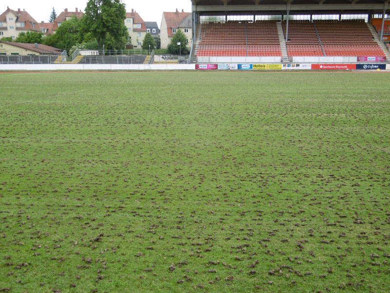 Sportplatzpflege