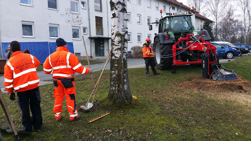 Stockfräsen und Rodung