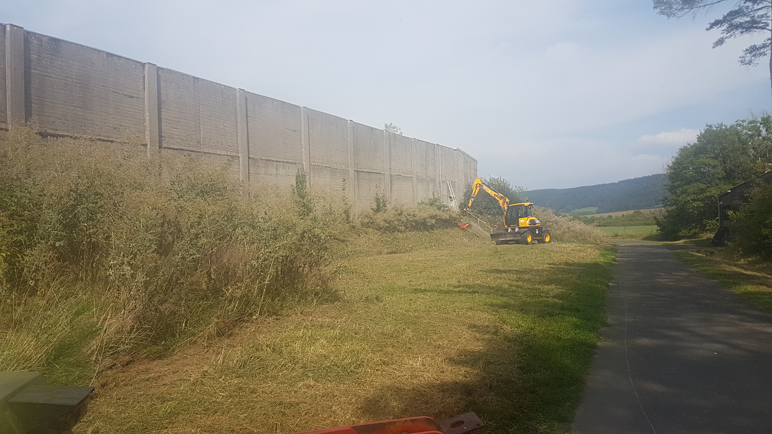 Stockfräsen und Rodung