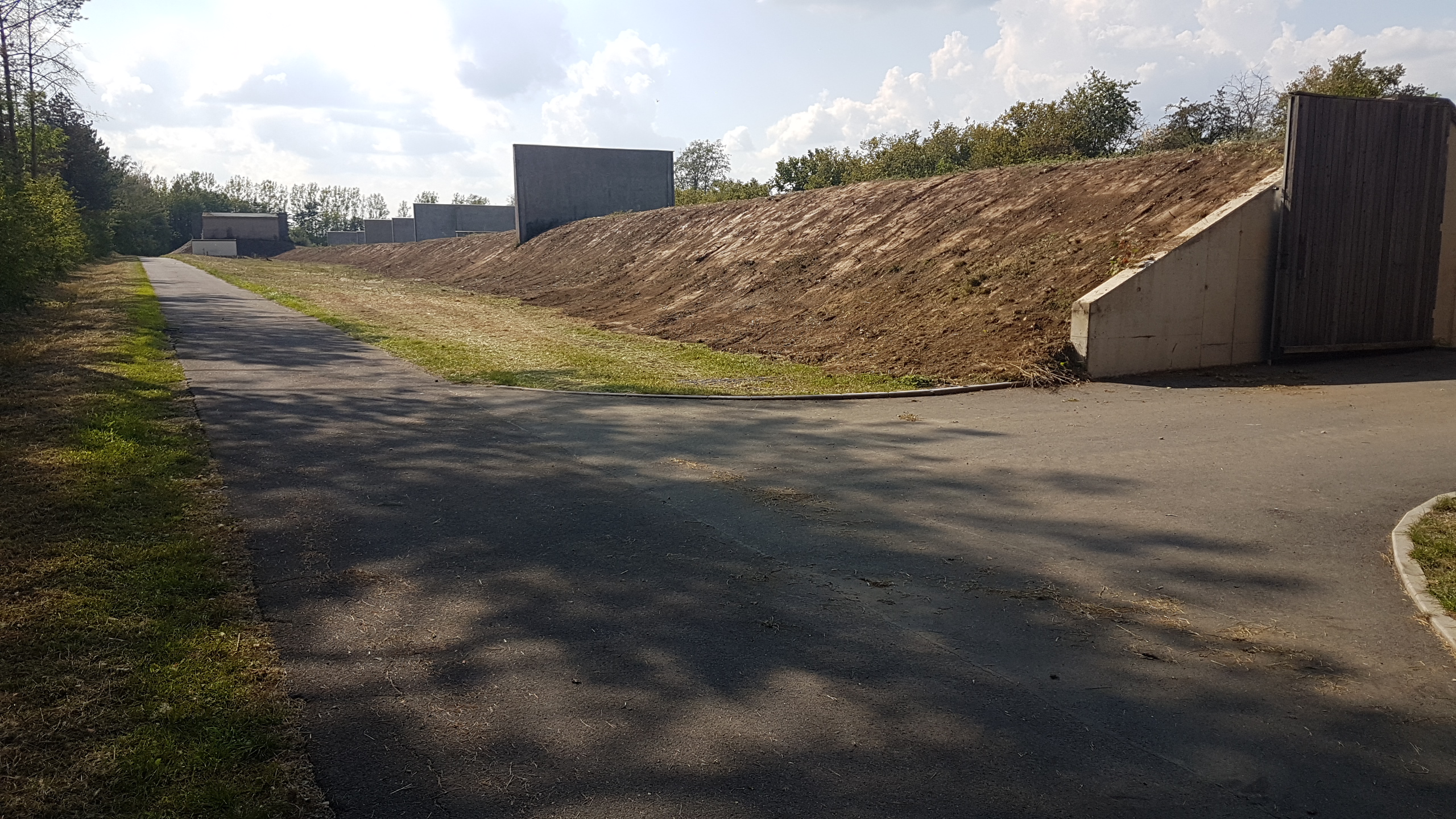 Stockfräsen und Rodung