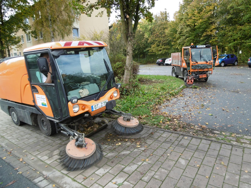 Wildkrautbeseitigung