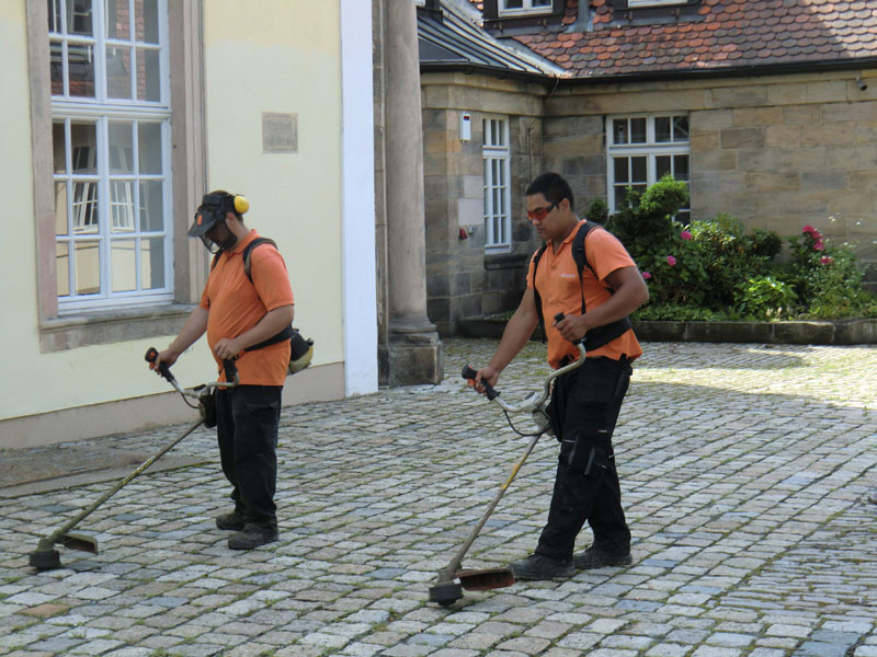 Wildkrautbeseitigung