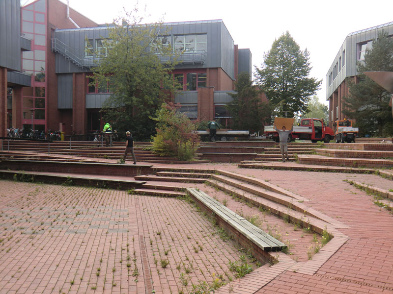 Wildkrautbeseitigung