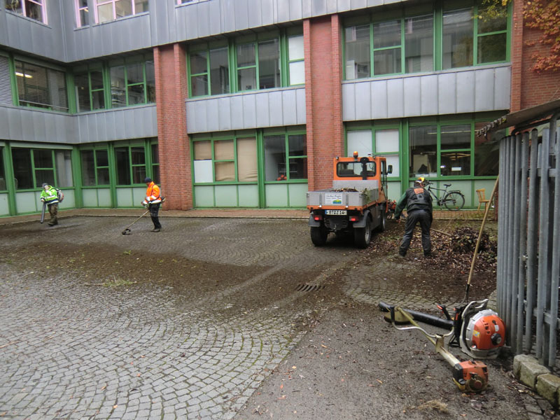 Wildkrautbeseitigung