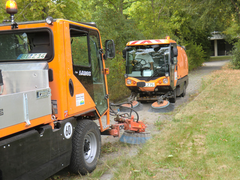 Wildkrautbeseitigung