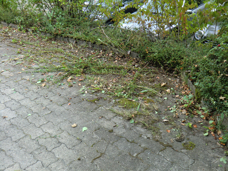 Wildkrautbeseitigung