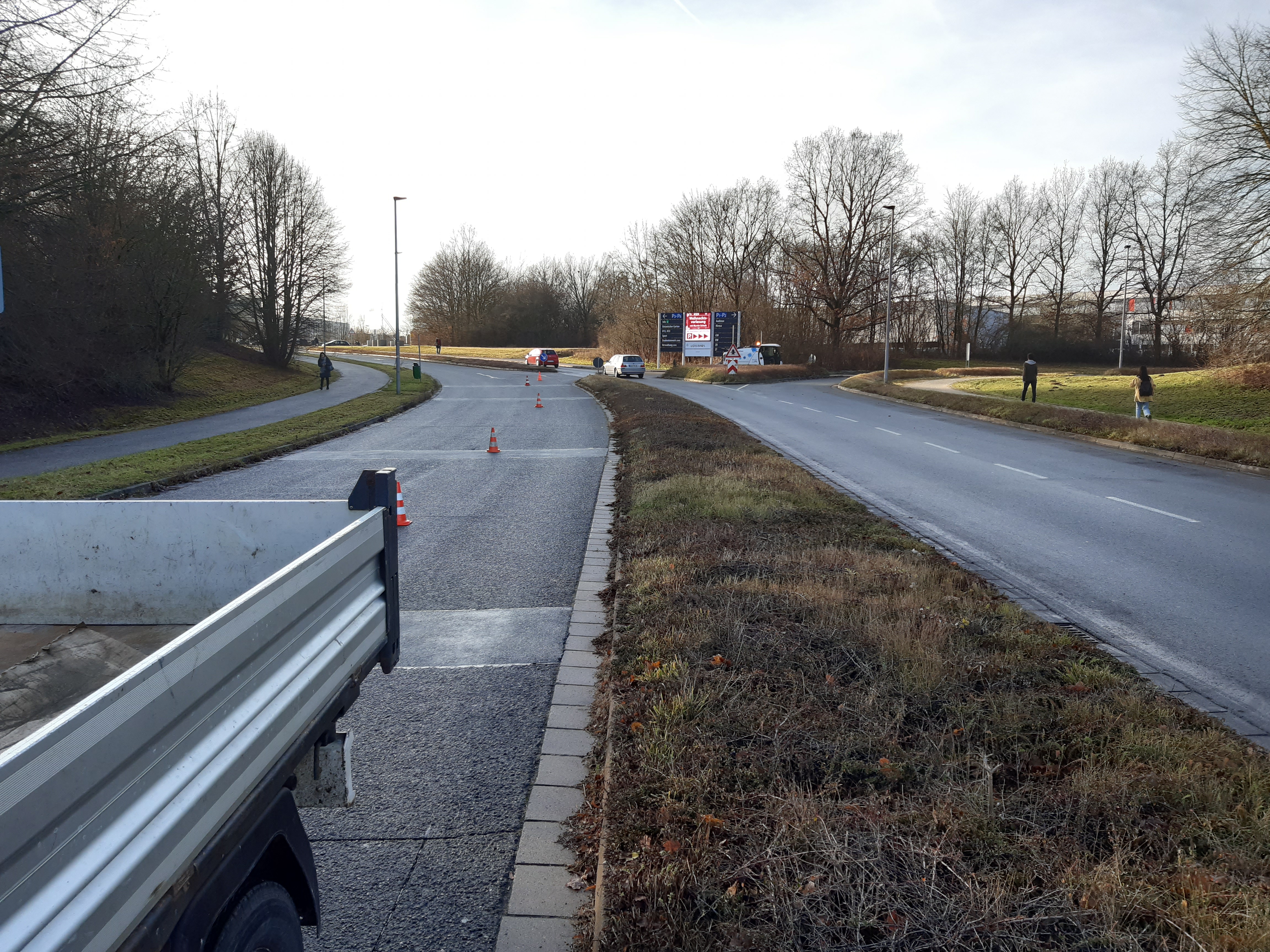 Wildkrautbeseitigung